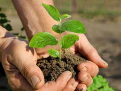 Aktionen Mensch & Natur